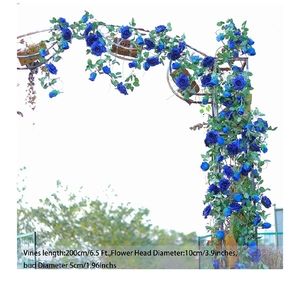 Blue and red flower Vines